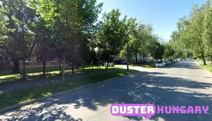 Zalai Közszolgáltató Nonprofit kft. - Gasparich Márk U. 26
