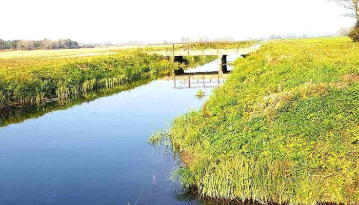 Zamolyi Csatorna Osszes - Győrzámoly