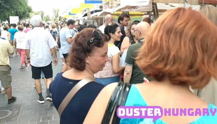 Zartamas Kft Videok - Budapest