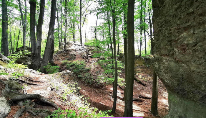 Zsivány-sziklák - Magyarország